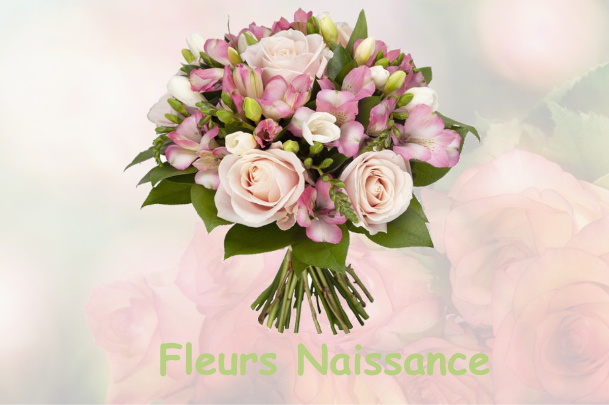 fleurs naissance GIBRET