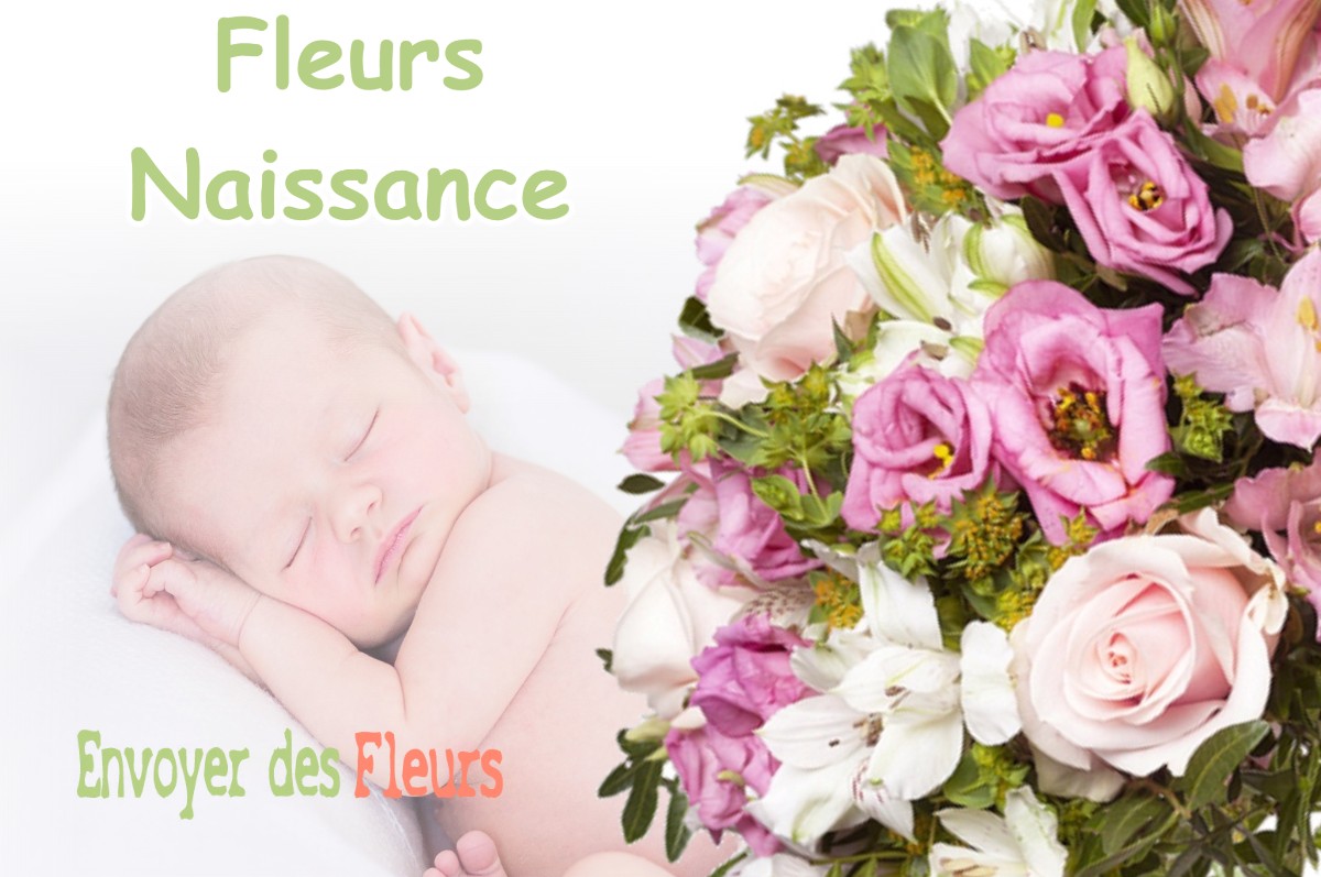 lIVRAISON FLEURS NAISSANCE à GIBRET